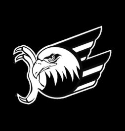 logo-adler-mannheim