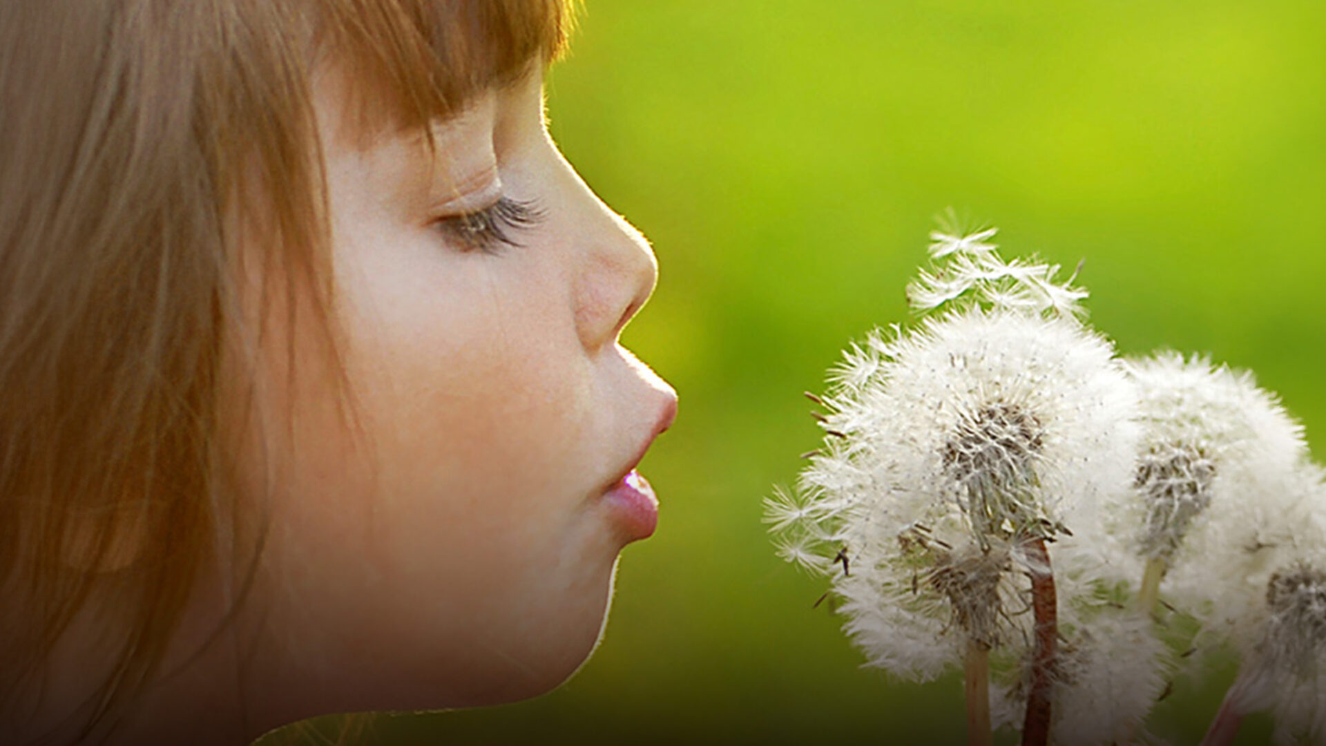 maedchen-pusteblume-l