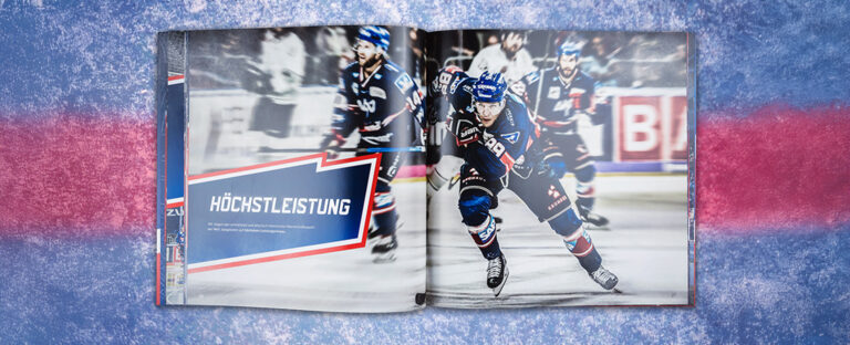 VOON Werbeagentur Case – Adler Mannheim Markenbuch Innenseiten 7